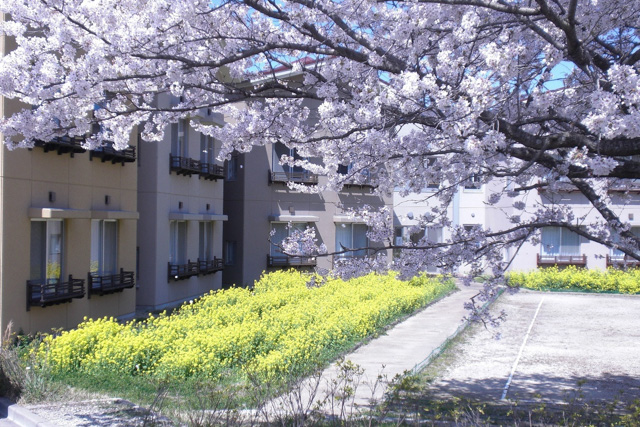 【夢見ケ崎デイサービスセンター】＿正社員＿介護職・ヘルパー_1